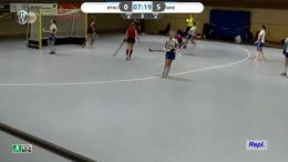 Hockeyvideos.de – Highlights – 1. Hallenhockey-Bundesliga 2022/23 Damen – RTHC vs. DHC – 22.01.2023 12:00 h